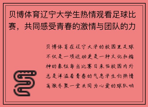 贝博体育辽宁大学生热情观看足球比赛，共同感受青春的激情与团队的力量